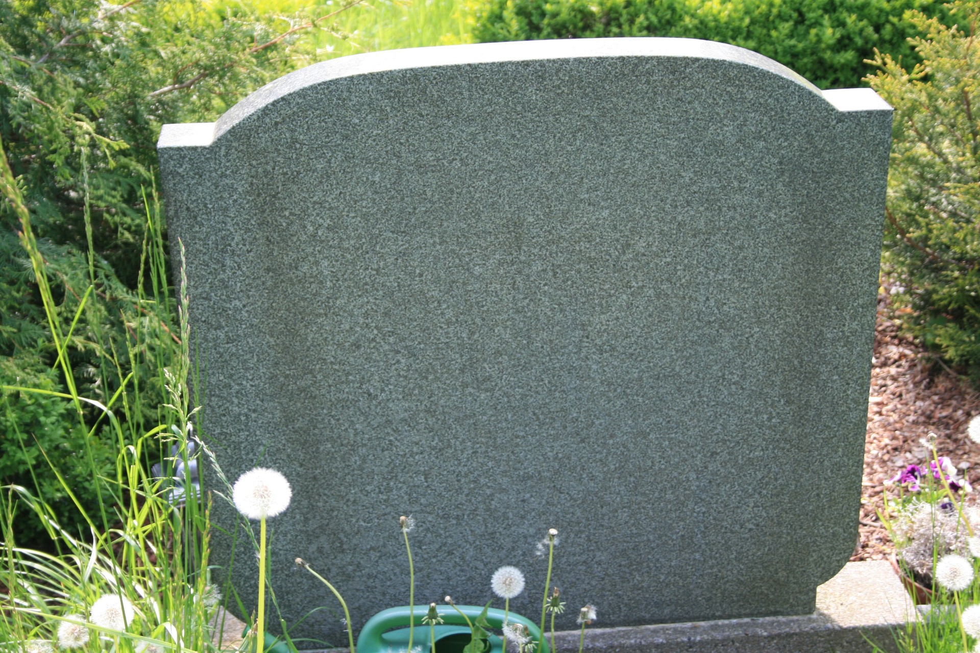 Fresh flowers placed on a grave